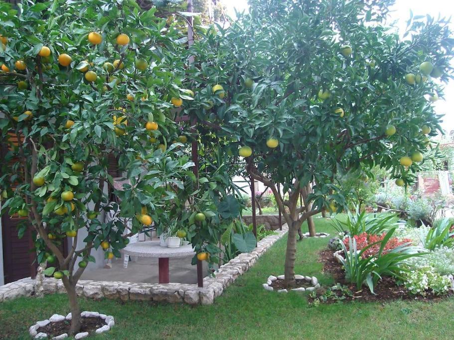Apartment Mia - Spacious Apartment On 85 M2 With Beautiful Sea View Trogir Exteriör bild